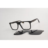 Black Tortoise